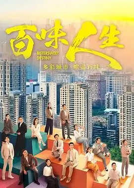 家庭剧情剧集缩略图，深棕木格与雾紫点缀